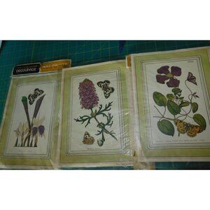 Patricia Nimocks Decoupage Art Prints Vintage Botanical  fruit  mixed Set of 9